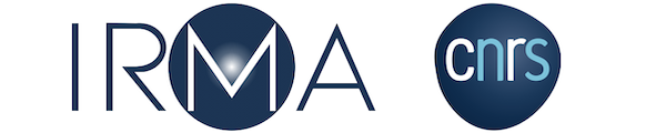 Logo IRMA