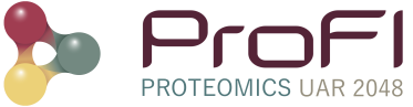 Logo ProFI